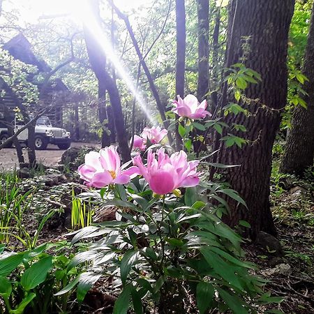 Cherokee Mountain Log Cabins Eureka Springs Dış mekan fotoğraf