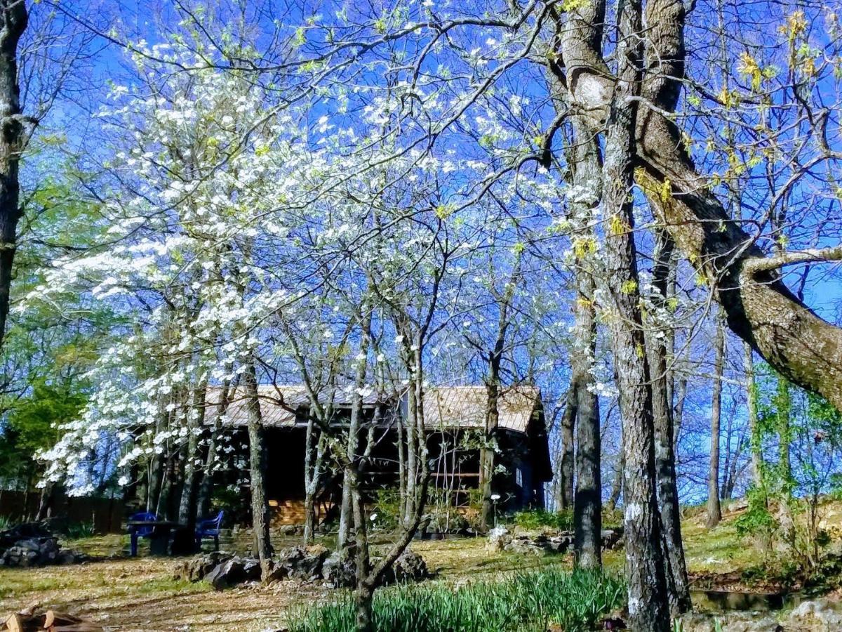 Cherokee Mountain Log Cabins Eureka Springs Dış mekan fotoğraf